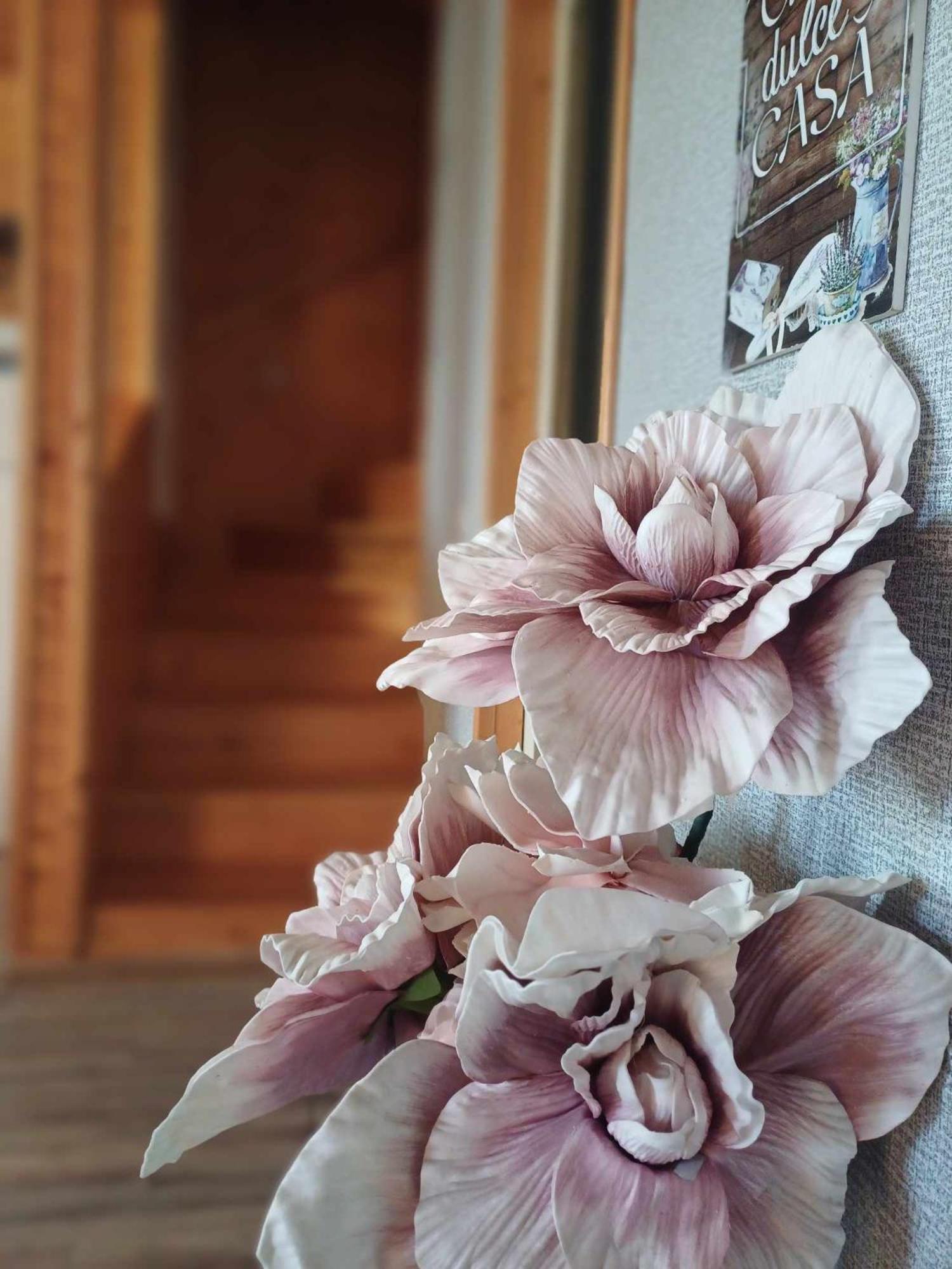 Cabana Baile Figa Beclean  Dış mekan fotoğraf